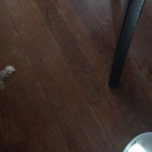 Meet your Posher, Blake